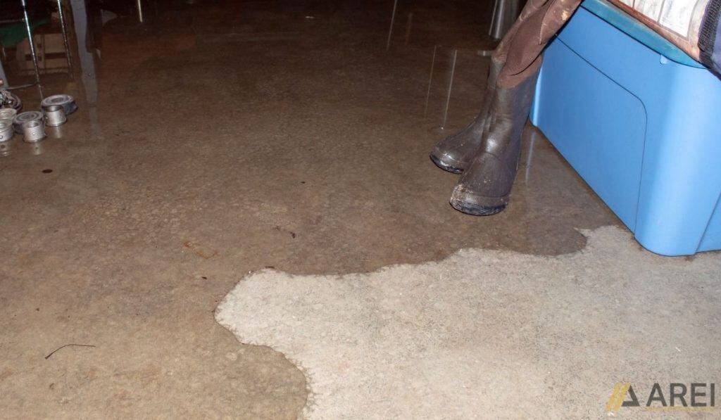 Water Intrusion and Drainage Problems